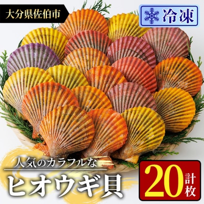 冷凍 ヒオウギ貝 (計20枚)