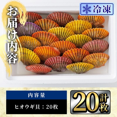 冷凍 ヒオウギ貝 (計20枚)