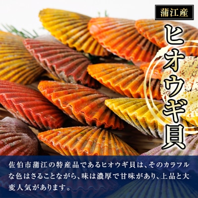 冷凍 ヒオウギ貝 (計20枚)