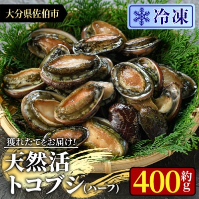 冷凍 天然活きトコブシ (約400g・ハーフサイズ)