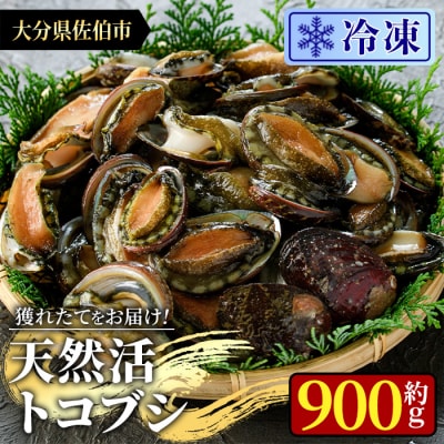 冷凍 天然活きトコブシ (約900g)