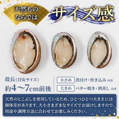 冷凍 天然活きトコブシ (約900g)