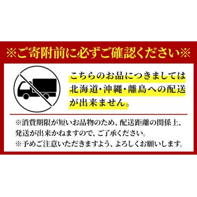 天然 サザエ (計2kg)