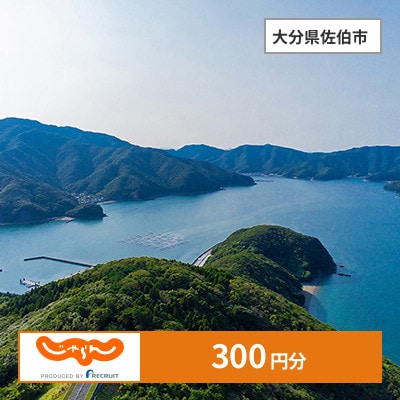 【じゃらんふるさと納税クーポン】 大分県佐伯市でつかえる300円 クーポン