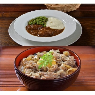 やな商店　ビーフシチュー&黒毛和牛牛丼の具セット(各2個)_HD085-017
