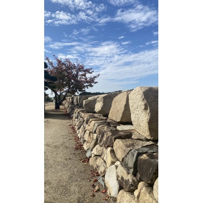 小豆島うまれ 石チョコ 9個セット