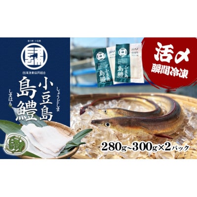 【小豆島】小豆島島鱧 活け〆骨切り　280g～300g入り×2パック