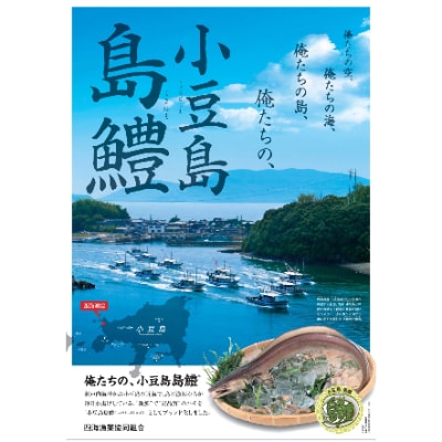 小豆島島鱧 活け〆骨切り　280g入り×2パック