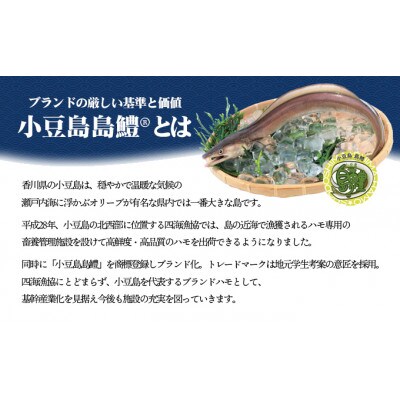 【小豆島】小豆島島鱧 活け〆骨切り　280g～300g入り×2パック