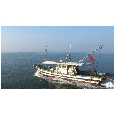 小豆島島鱧 活け〆骨切り　280g入り×2パック