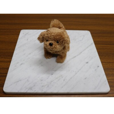 大理石ペットひんやりボード 40cm×40cm