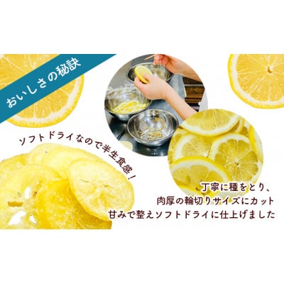 【小豆島】小豆島ドライレモン(50g×3袋)