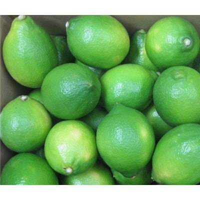 小豆島ハウスレモン2kg
