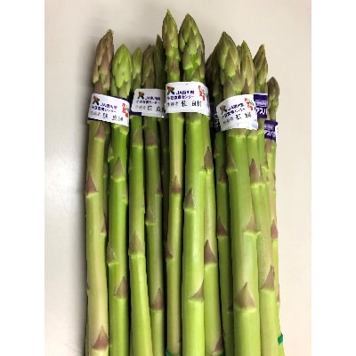 香川のアスパラ「さぬきのめざめ」夏芽1kg