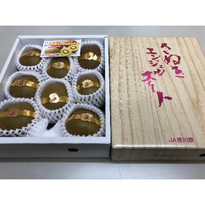 さぬきエンジェルスイートキウイ　約1kg化粧箱