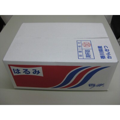 はるみみかん　約5kg