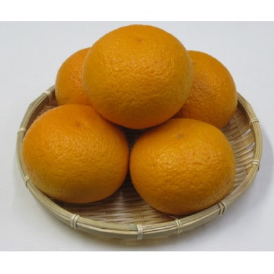 甘夏柑　約10kg