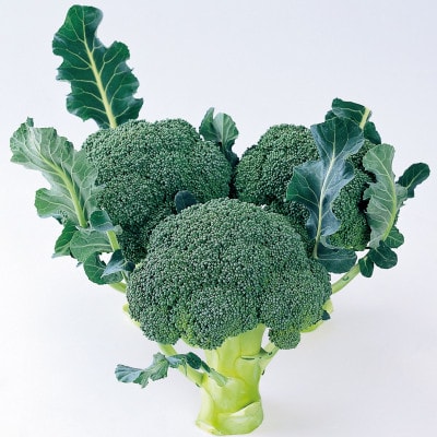 ブロッコリー　約2.5kg