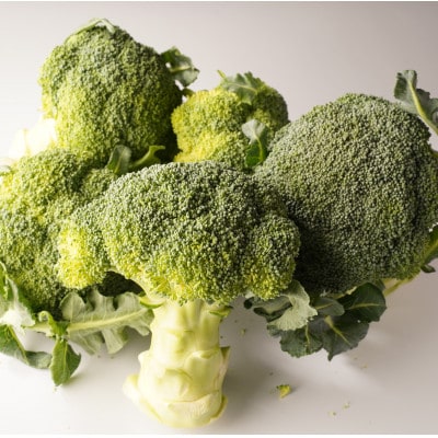 ブロッコリー　約2.5kg