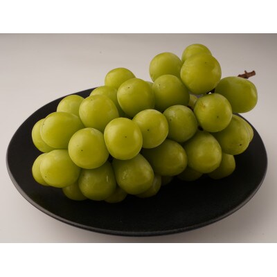 【お試し用】シャインマスカット　約550g