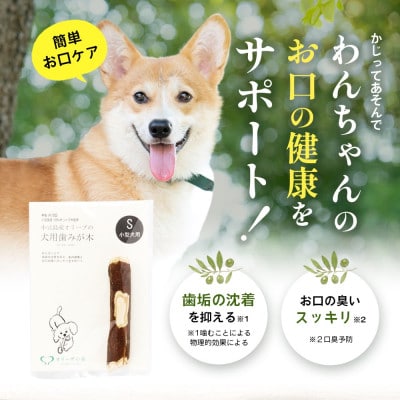 【獣医師推奨】小豆島産オリーブの犬用はみが木　S(小型犬用)　1本入り×3袋