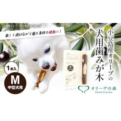 【獣医師推奨】小豆島産オリーブの犬用はみが木　M(中型犬用)　1本入り×1袋