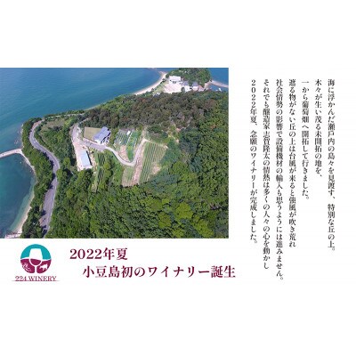 小豆島醸造　木樽熟成メルロー2023　日本ワイン
