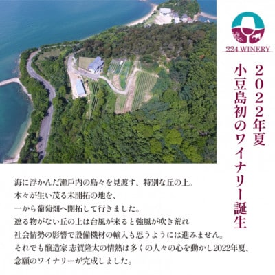 小豆島醸造　木樽熟成カベルネ・ソーヴィニヨン2023　日本ワイン