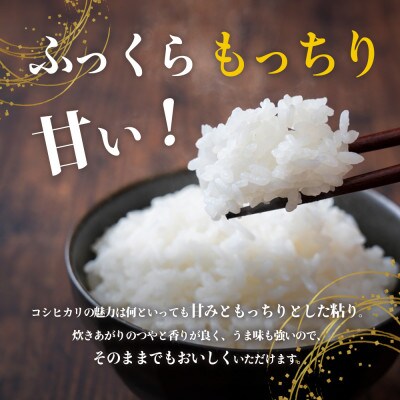 ふっくらつやつや!小豆島産コシヒカリ5kg