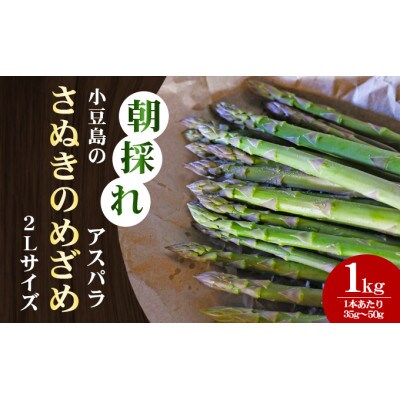 【先行予約】小豆島の朝採れアスパラ 『さぬきのめざめ』2Lサイズ1kg　配送期間:2月中旬～5月中旬