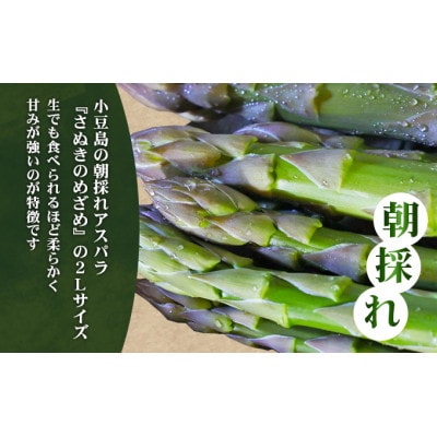 【先行予約】小豆島の朝採れアスパラ 『さぬきのめざめ』2Lサイズ1kg　配送期間:2月中旬～5月中旬