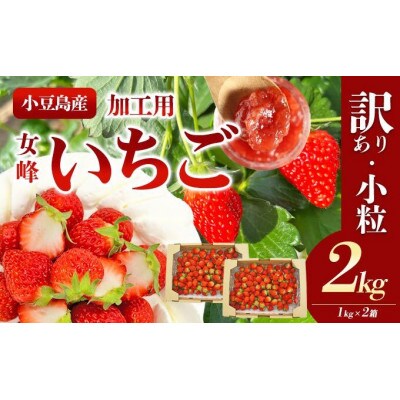 <訳あり・小粒>小豆島産　加工用いちご×2箱