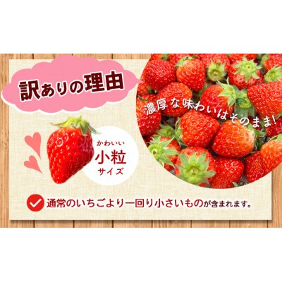 <訳あり・小粒>小豆島産　加工用いちご×2箱