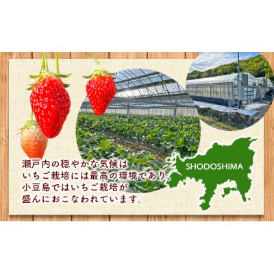 <訳あり・小粒>小豆島産　加工用いちご×2箱