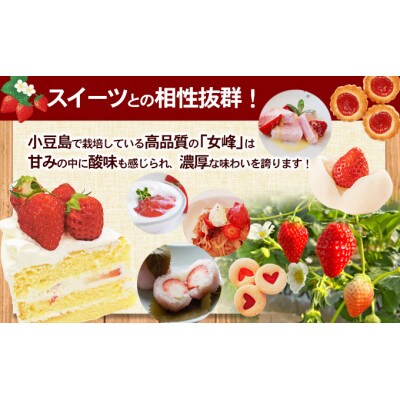 <訳あり・小粒>小豆島産　加工用いちご×2箱