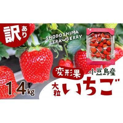 <訳あり・大粒>小豆島産　変形果いちご　1.4kg