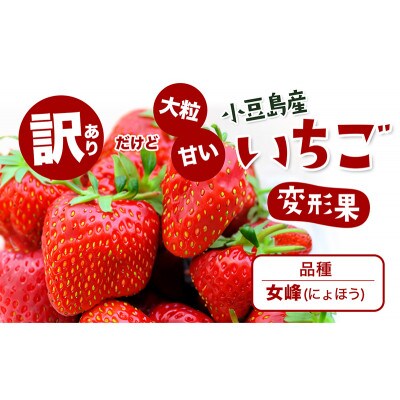 <訳あり・大粒>小豆島産　変形果いちご　1.4kg