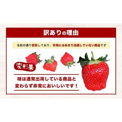 <訳あり・大粒>小豆島産　変形果いちご　1.4kg