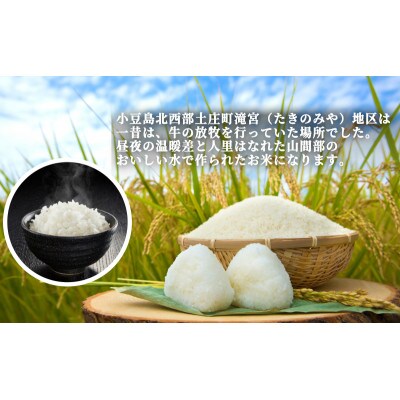 ふっくらつやつや!小豆島産コシヒカリ 300g×10個