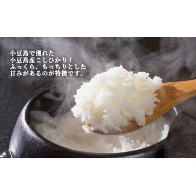 ふっくらつやつや!小豆島産コシヒカリ 300g×10個