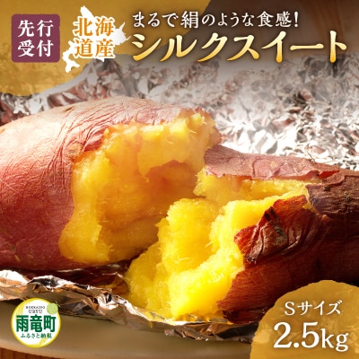 【数量限定】あま～い畑スイーツ!北海道雨竜町産 さつまいも 「シルクスイート」 Sサイズ