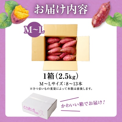 【数量限定】あま～い畑スイーツ!北海道雨竜町産 さつまいも 「シルクスイート」M-Lサイズ