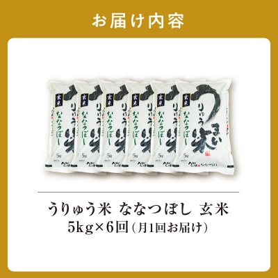 【定期便全6回】 うりゅう米 ななつぼし 玄米5kg(5kg×1袋)毎月1回お届け 雨竜町