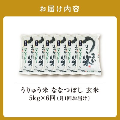 【定期便全6回】 うりゅう米 ななつぼし 玄米5kg(5kg×1袋)毎月1回お届け 雨竜町