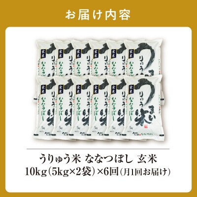 【定期便全6回】令和6年産 うりゅう米  ななつぼし 玄米 10kg(5kg×2袋)毎月1回お届け