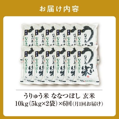 【定期便全6回】 うりゅう米 ななつぼし 玄米 10kg(5kg×2袋)毎月1回お届け