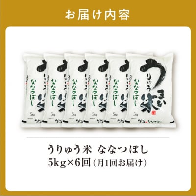 【R7新米!定期便全6回】うりゅう米 ななつぼし 精米 5kg(5kg×1袋)毎月1回お届け