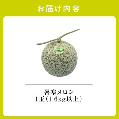 【令和8年産先行受付】北海道産 暑寒メロン 1玉 (1.6kg以上×1箱)  2026年7月発送