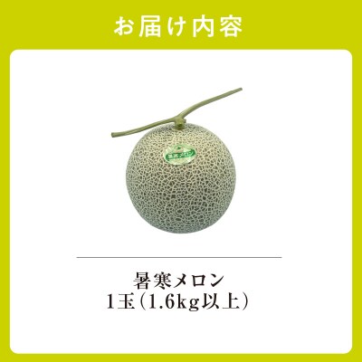 【令和8年産先行受付】北海道産 暑寒メロン 1玉 (1.6kg以上×1箱)  2026年7月発送