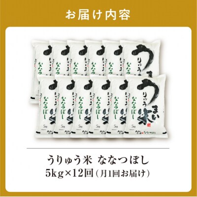 【R7新米!定期便全12回】うりゅう米 ななつぼし 精米 5kg(5kg×1袋)毎月1回お届け